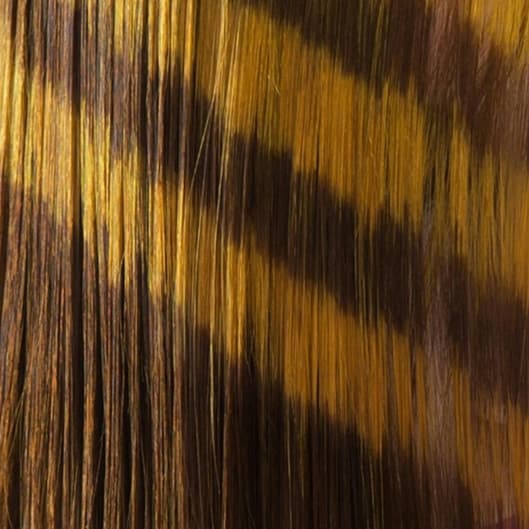 Gloss + Cut at Hairbender in Phoenix, AZ